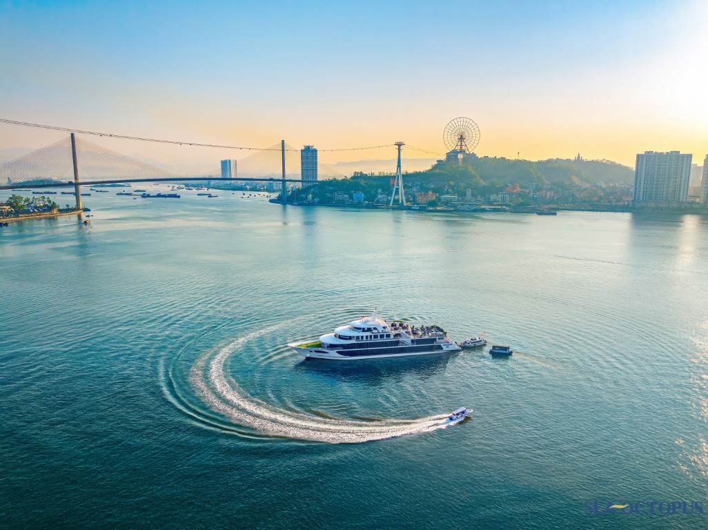 Sea Octopus Cruisesea Ha Long Top Luxury Cruise Ha Long bay 1 day: Sea Octopus