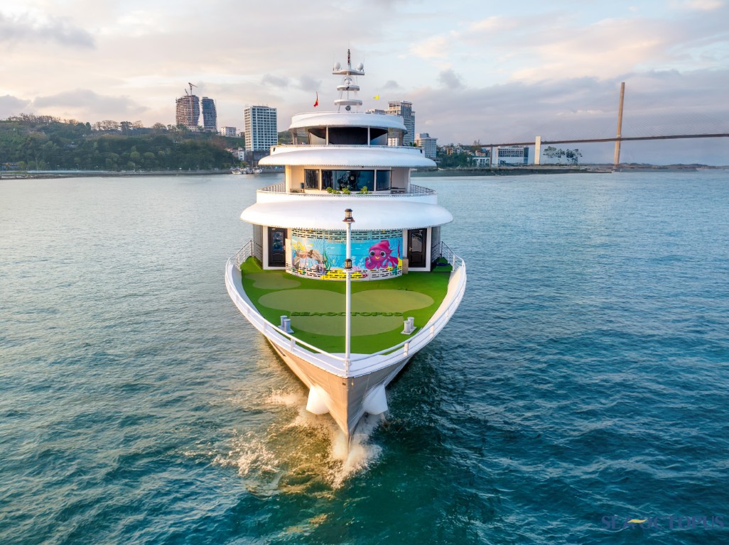 Sea Octopus Cruisesea Ha Long Top Luxury Cruise Ha Long bay 1 day: Sea Octopus
