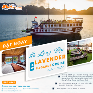 Du thuyền 4 sao Lavender Hạ Long 2n1d, 3n2d