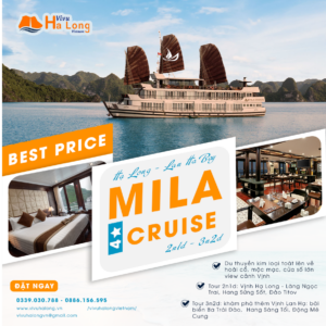 MILA CRUISE