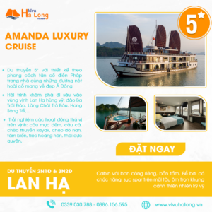 AMANDA LUXURY CRUISE
