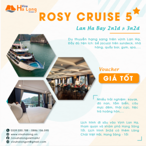 ROSY CRUISE