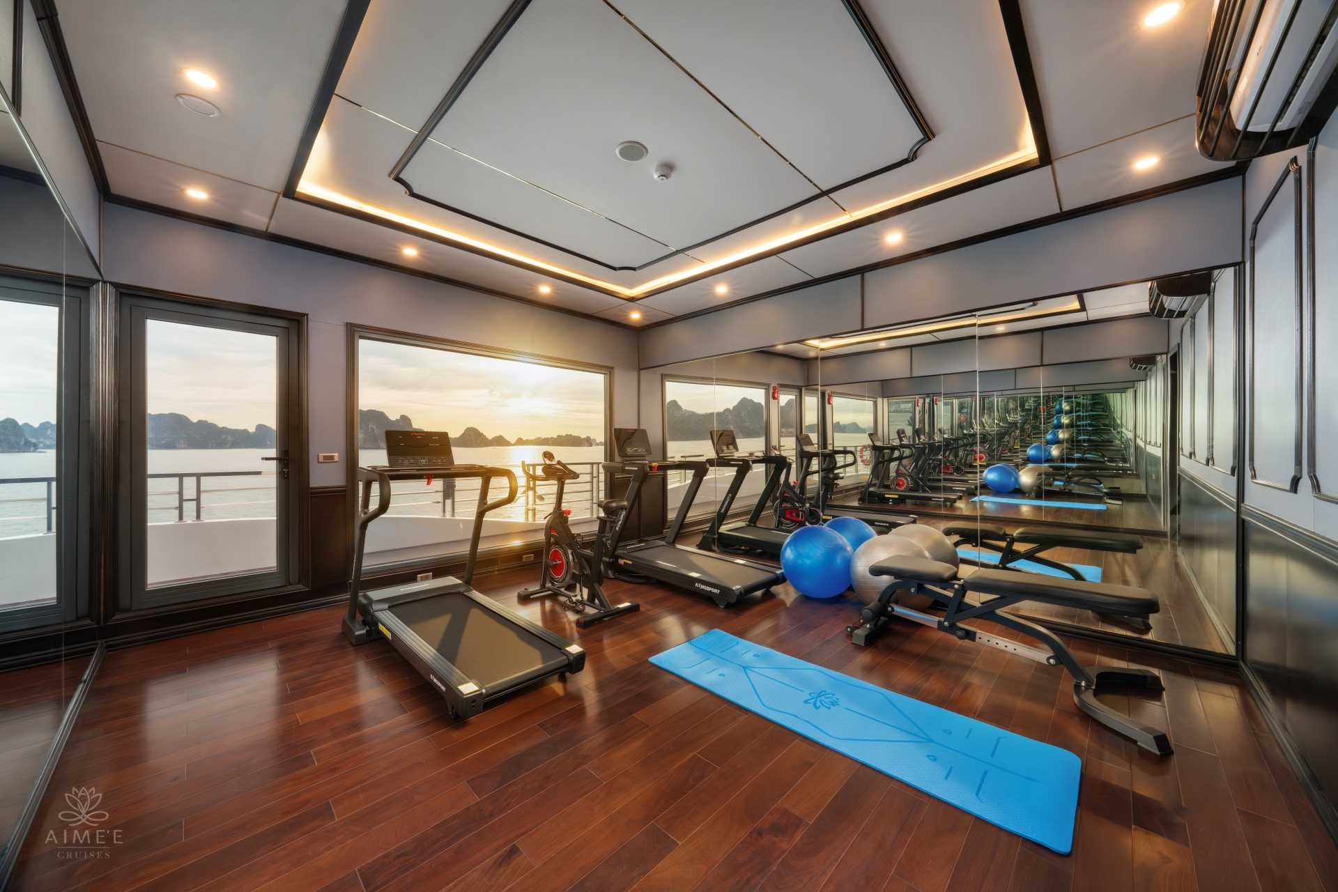 Aime'e Cruises - Gym