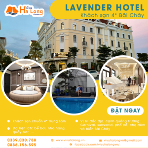 Hạ Long Lavender Hotel