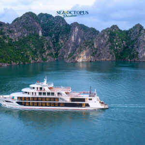 Top Luxury Cruise Ha Long bay 1 day: Sea Octopus