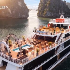 Top Luxury Cruise Ha Long bay 1 day: Sea Octopus