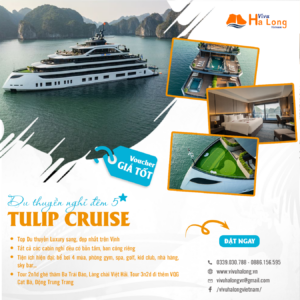 Tulip Cruise - Top Luxury Du thuyền ngủ đêm Vịnh Hạ Long - Lan Hạ