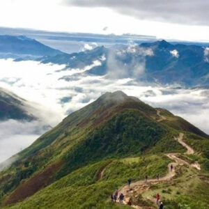 Cây Cô Đơn - Mỏm Cá Heo - Thảo Nguyên - Sống lưng Khủng Long