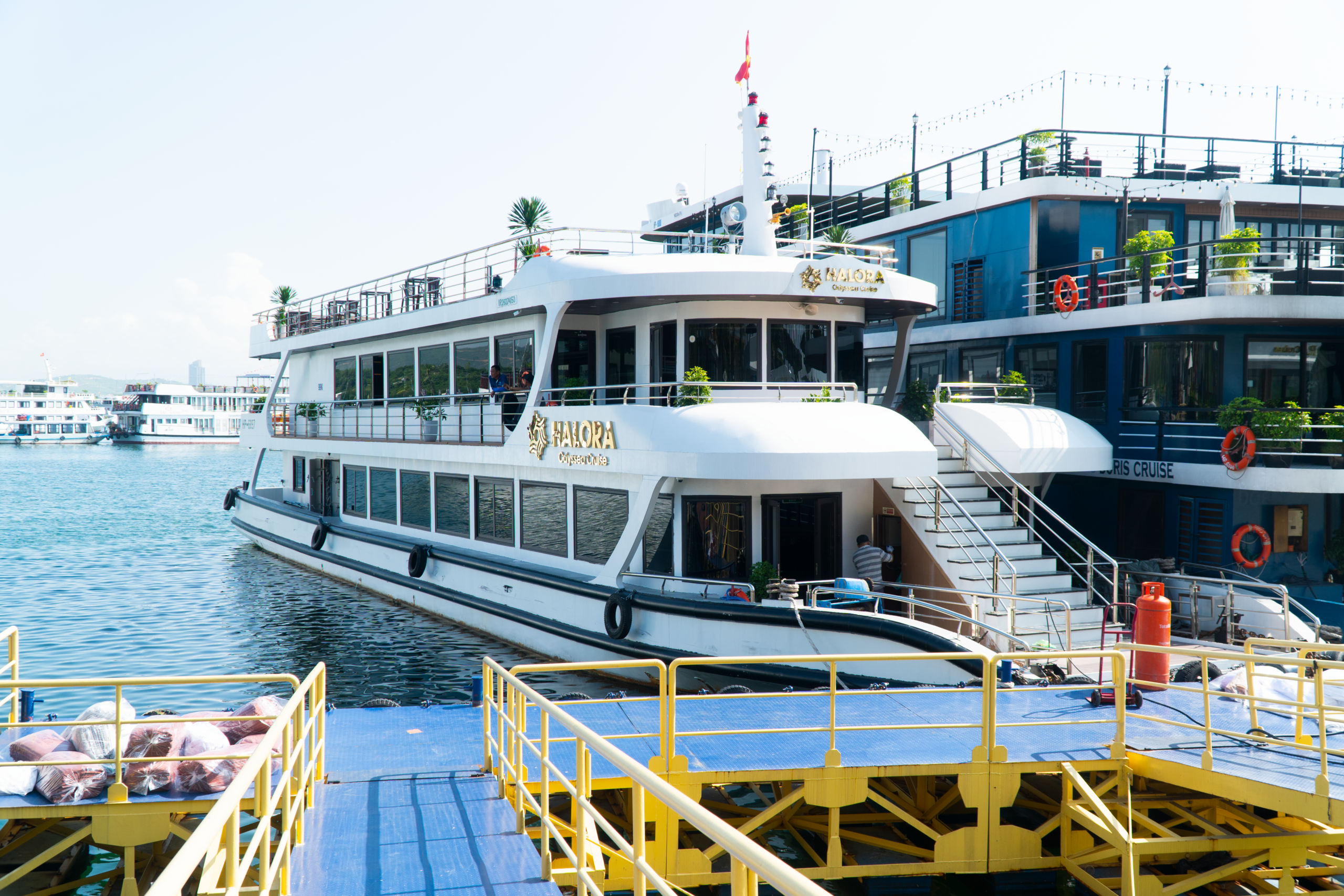 Halora Odyssea Lan Ha Bay 5 star cruise