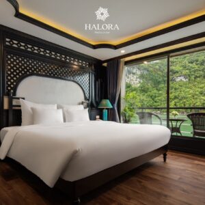 Tour Du thuyền ngủ đêm 5 sao khách Ấn Độ: Halora Metta