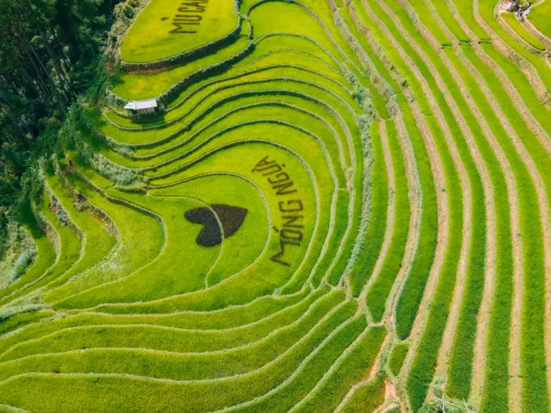 Tú Lệ Khau Phạ Mù Căng Chải 3n2d