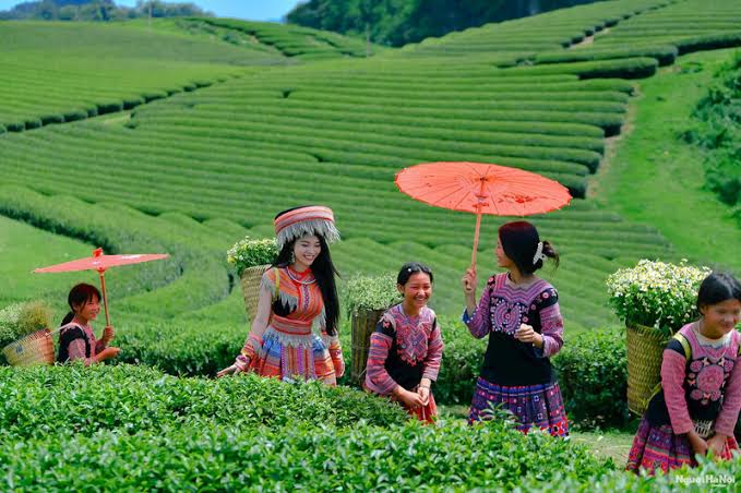 Mai Châu, Mộc Châu, Cầu kính Bạch Long 3n2d