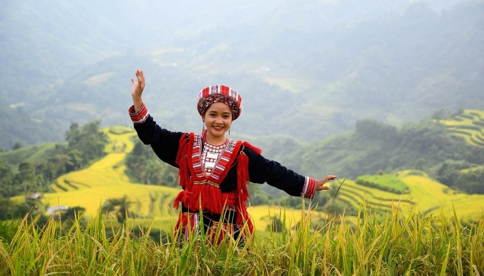 tour-ha-noi-hoang-su-phi-ban-phung-bac-ha-3n2d-lich-trinh-chi-tiet-hap-dan-6 Hoàng Su Phì - Hà Giang 2n1d